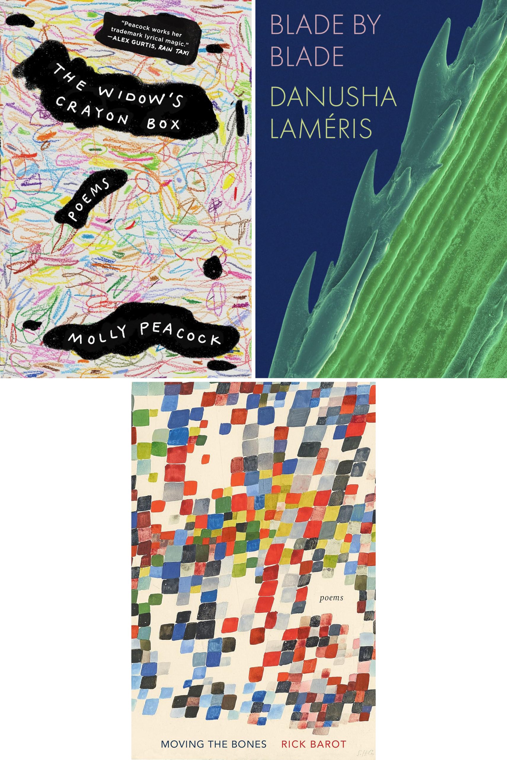 Split the Lark: Shara Lessley on Contemporary Poetry